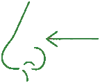 Nasal Dilator Source Logo